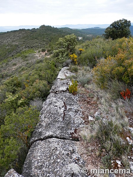 Castro del Castellar