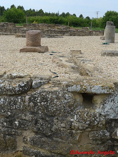 Ciudad romana de Andelos