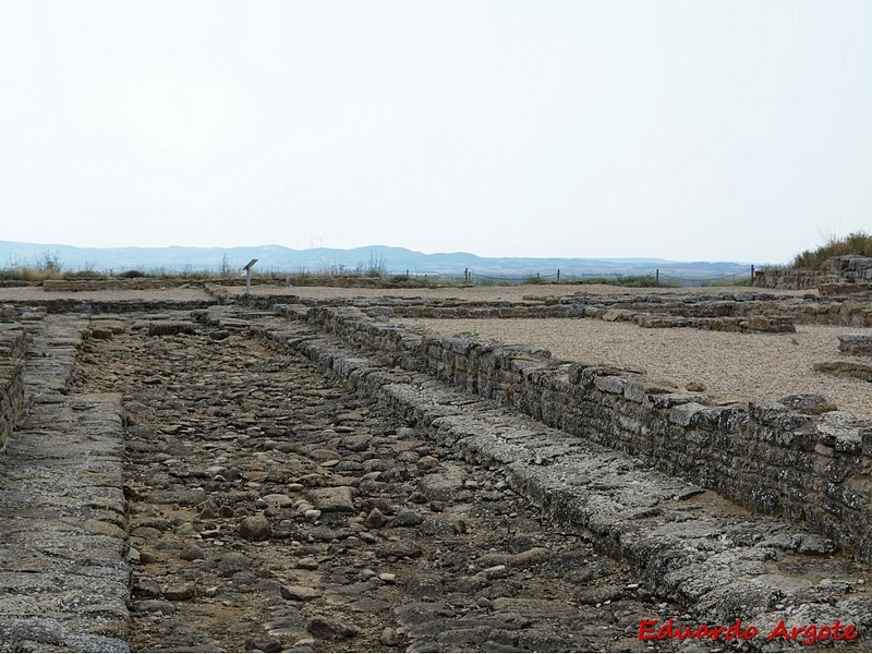 Ciudad romana de Andelos