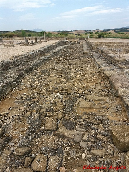 Ciudad romana de Andelos