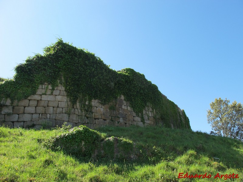 Fortaleza de Monterrei