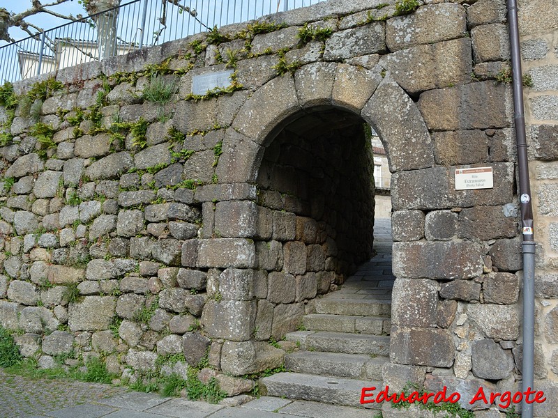 Muralla urbana de Ribadavia