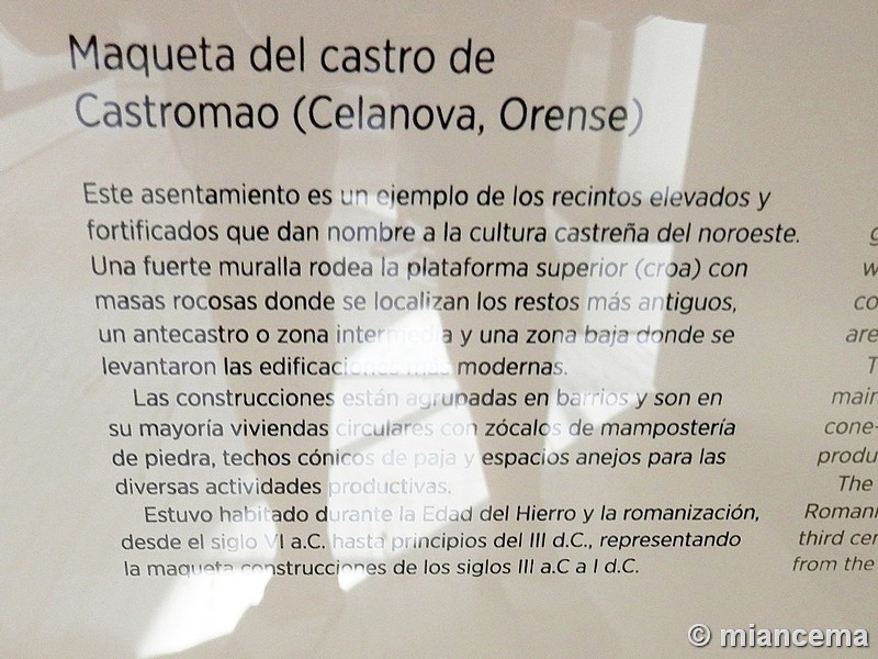 Castro de Castromao