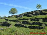 Castro de Castromao