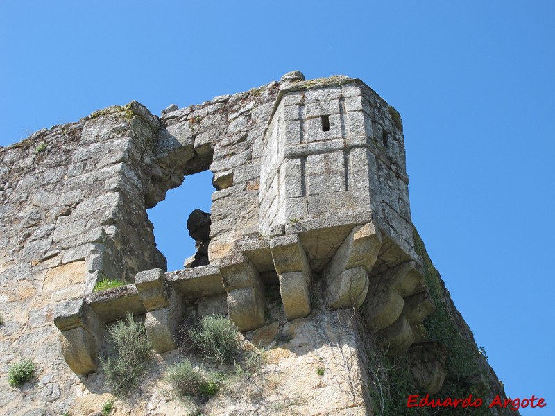 Fortín de Monterrei