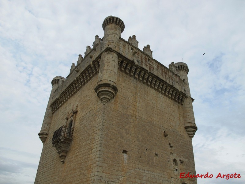 Castillo de Belmonte de Campos