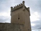 Castillo de Belmonte de Campos