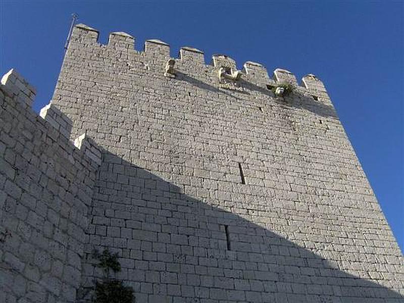 Castillo de Monzón de Campos