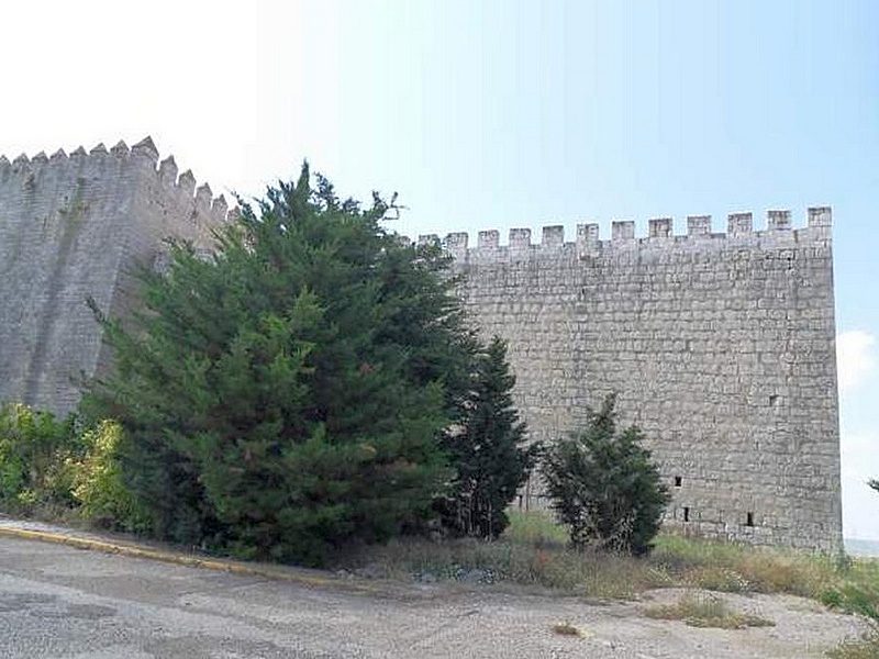 Castillo de Monzón de Campos