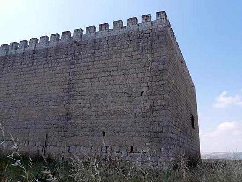 Castillo de Monzón de Campos