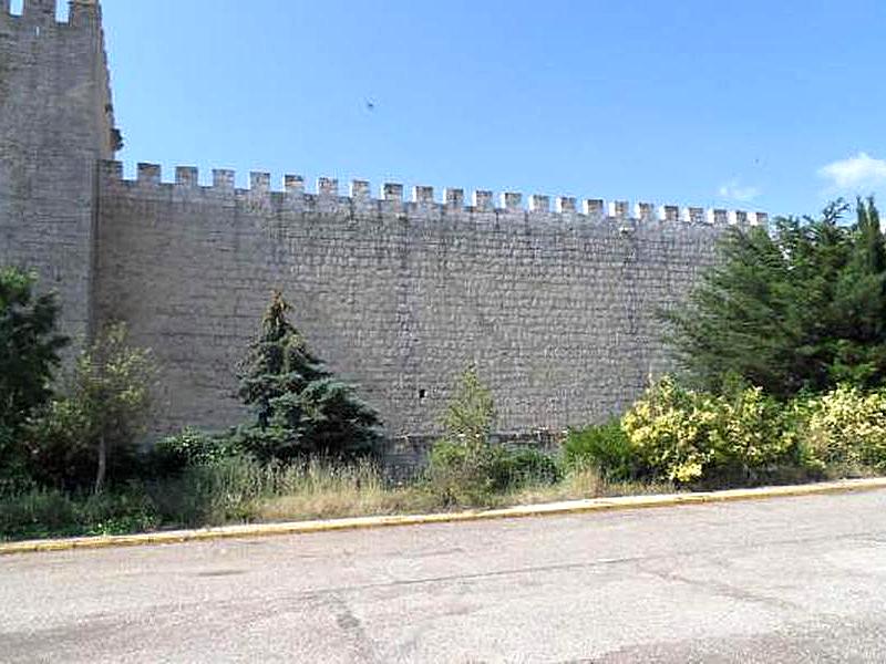 Castillo de Monzón de Campos