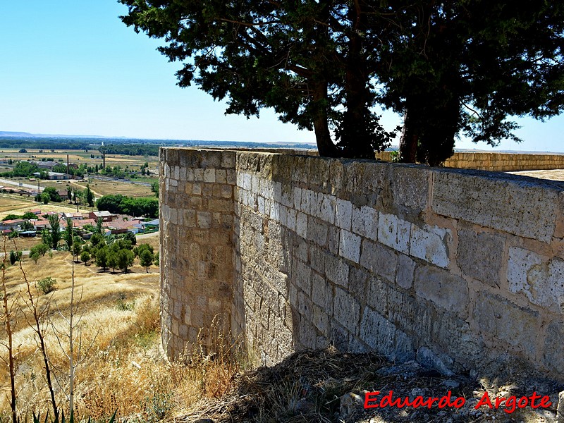 Castillo de Monzón de Campos