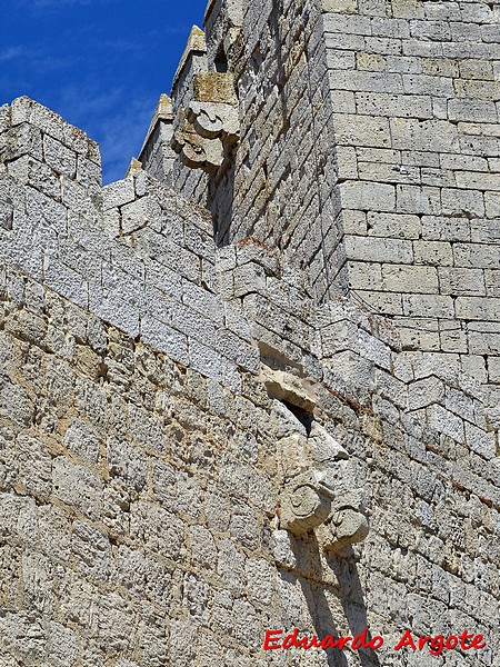 Castillo de Monzón de Campos