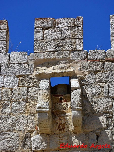 Castillo de Monzón de Campos