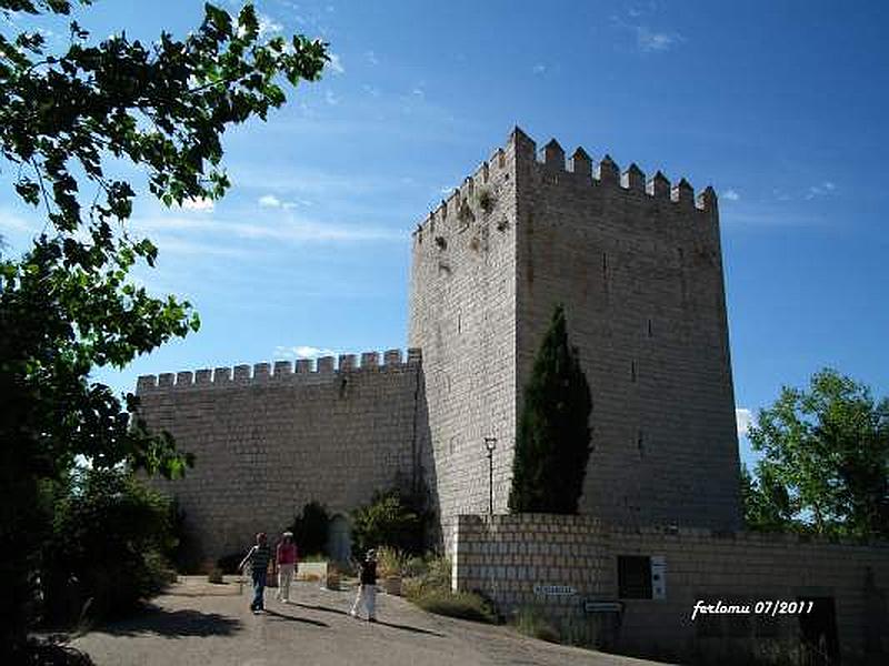 Castillo de Monzón de Campos