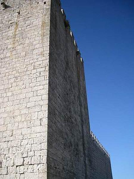 Castillo de Monzón de Campos