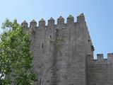 Castillo de Monzón de Campos