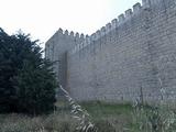 Castillo de Monzón de Campos