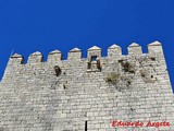 Castillo de Monzón de Campos