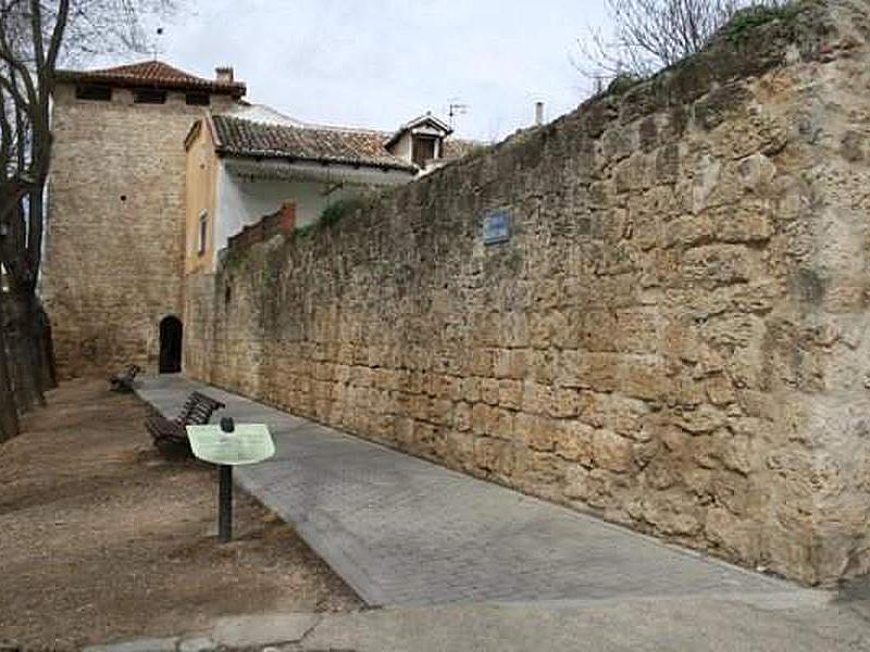 Muralla urbana de Dueñas