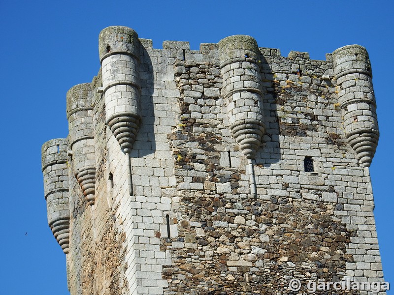 Castillo de Monleón