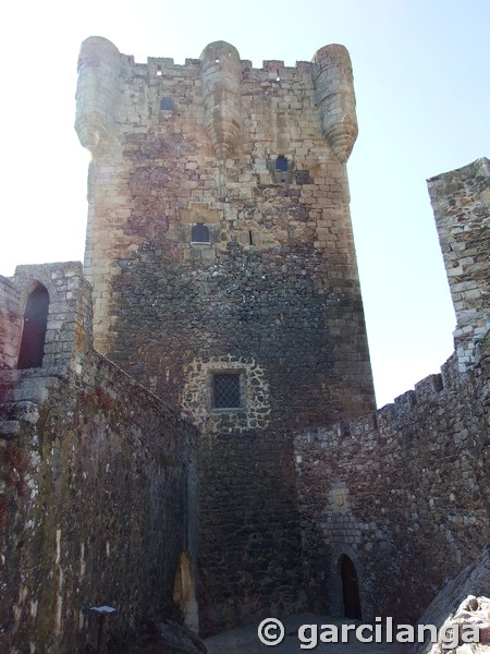 Castillo de Monleón