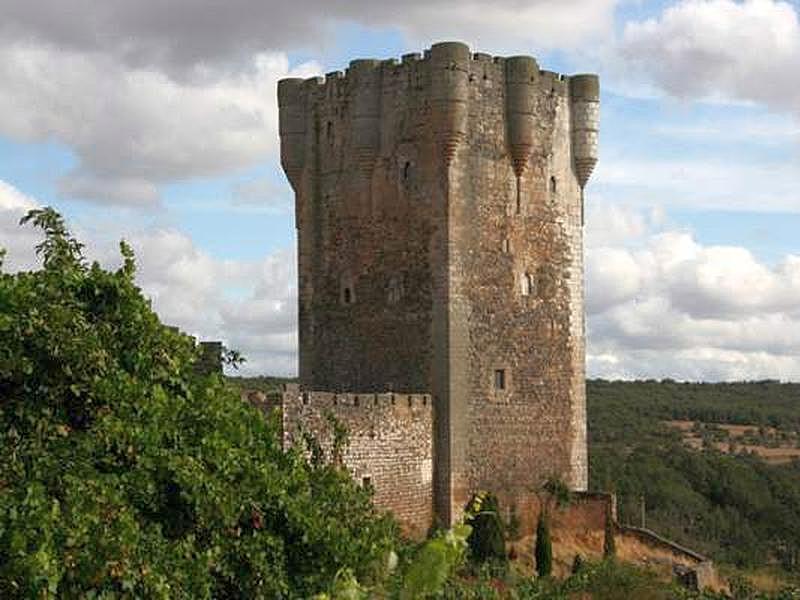 Castillo de Monleón