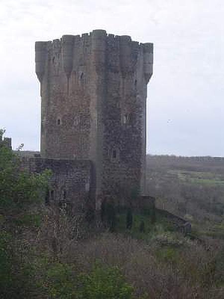 Castillo de Monleón