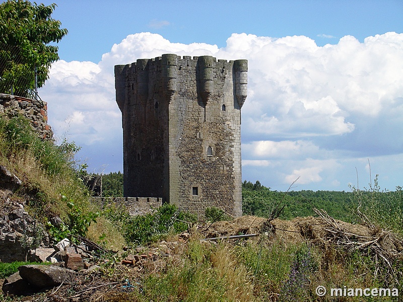 Castillo de Monleón