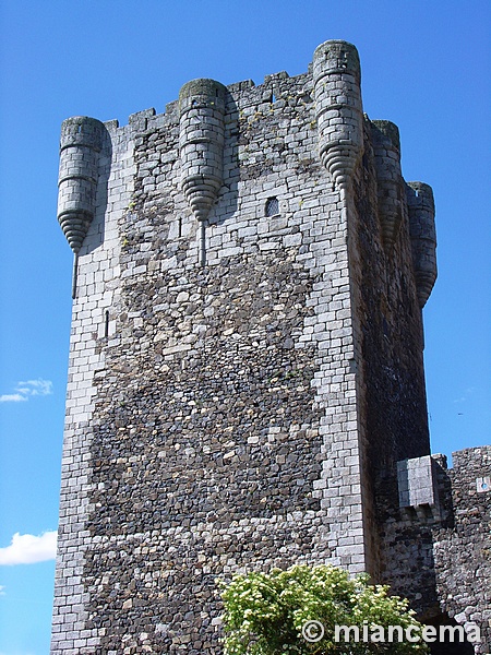 Castillo de Monleón