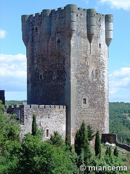 Castillo de Monleón