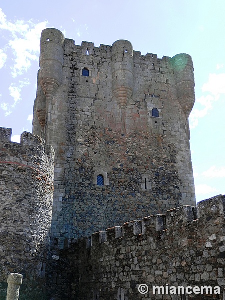 Castillo de Monleón