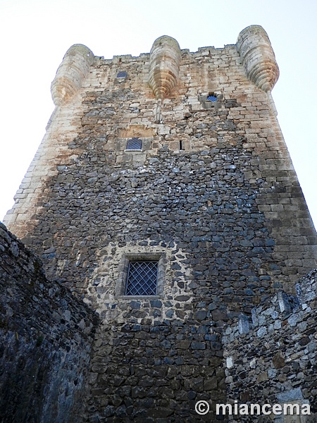 Castillo de Monleón