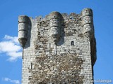 Castillo de Monleón