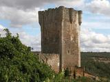 Castillo de Monleón