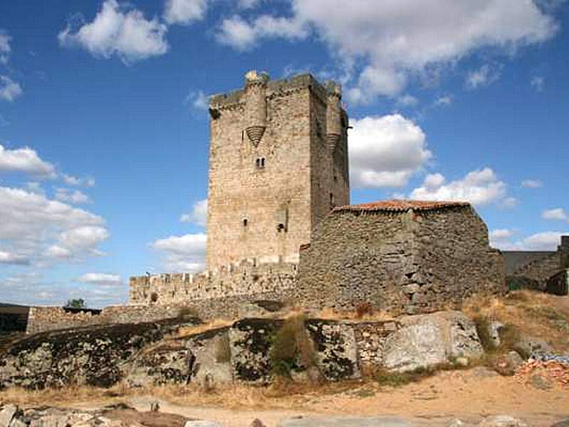 Castillo de San Felices de los Gallegos