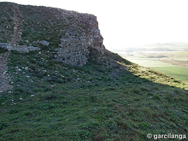 Castillo de El Carpio