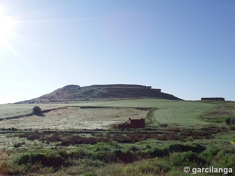 Castillo de El Carpio