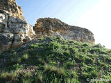 Castillo de El Carpio