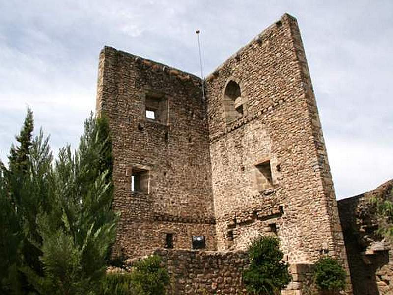 Castillo de San Martín del Castañar