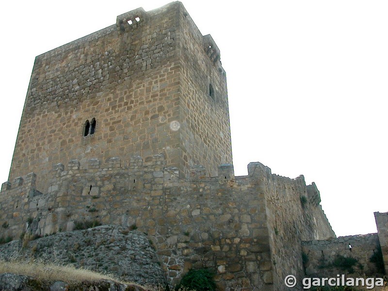 Castillo de Puente del Congosto