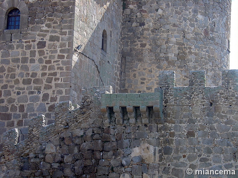 Castillo de Puente del Congosto