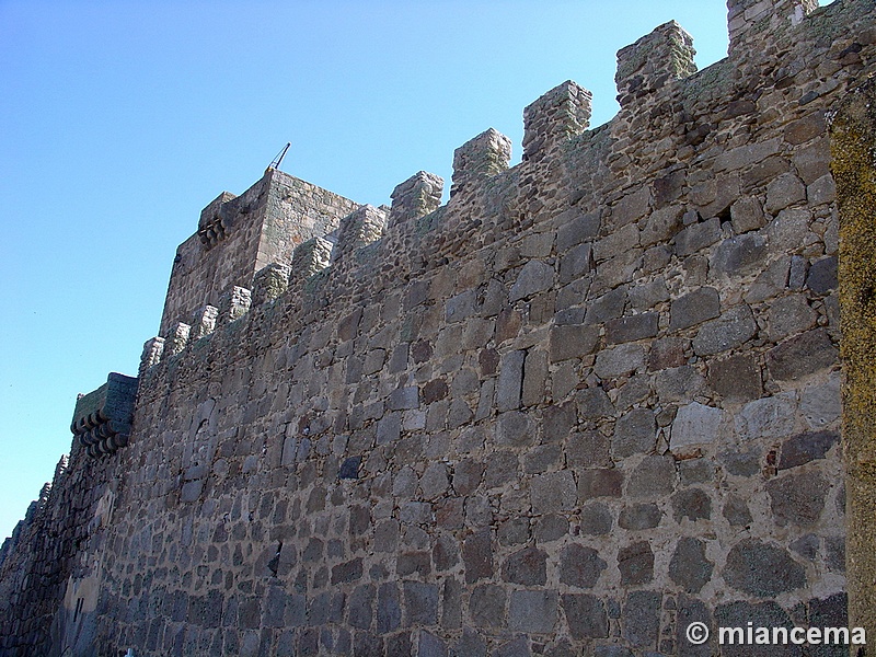 Castillo de Puente del Congosto