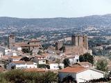 Castillo de Puente del Congosto