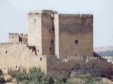 Castillo de Puente del Congosto