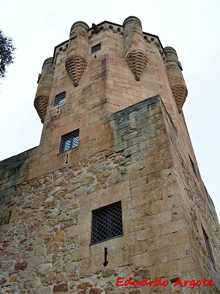 Torre El Clavero