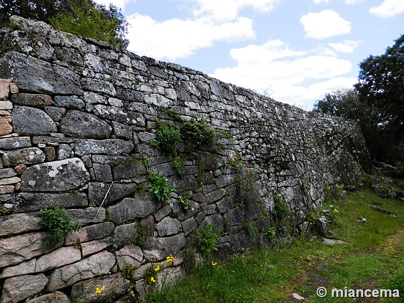 Castro prerromano de Yecla La Vieja