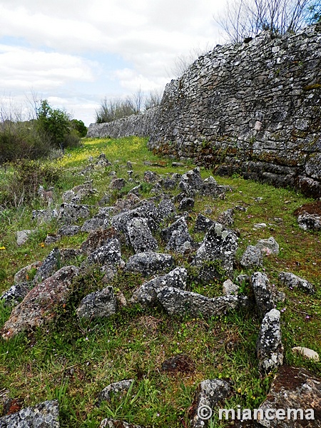 Castro prerromano de Yecla La Vieja