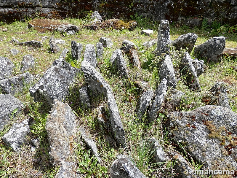 Castro prerromano de Yecla La Vieja