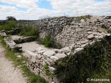 Castro prerromano de Yecla La Vieja